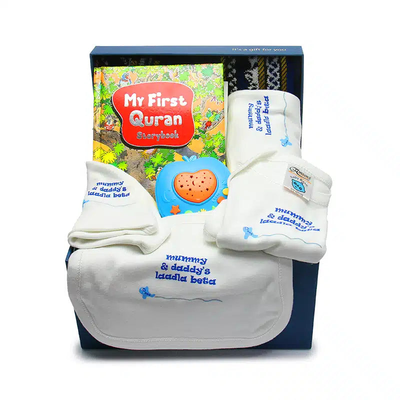 Baby Boys Gift Hamper