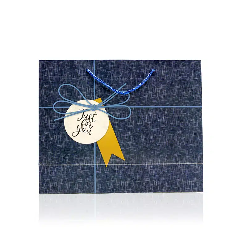 Large Navy Gift Bag
