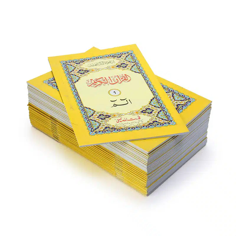 Single Juzz Quran Set 241