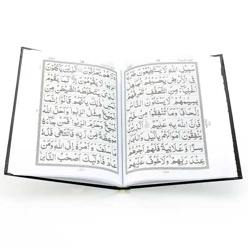 Plain Five Para 6-10