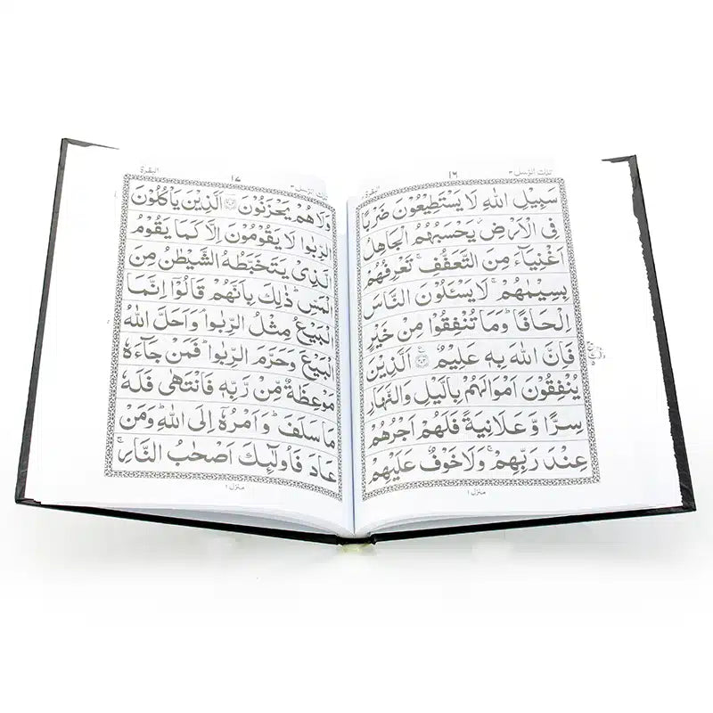 Plain Five Para 11-15