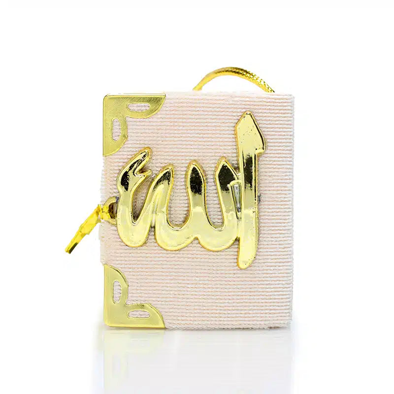 Quran Hanger Faded Pink With Gold Accent