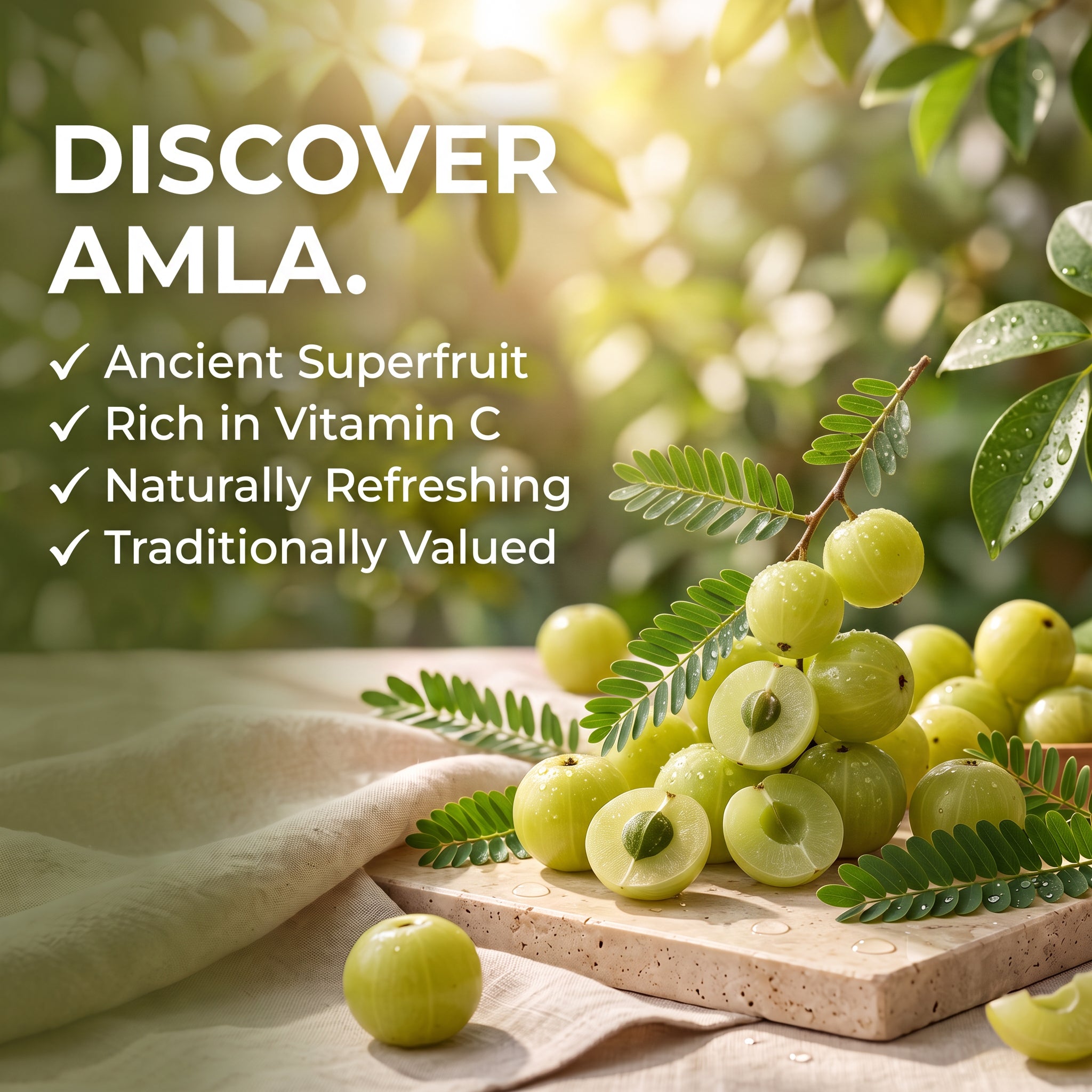 Amla Juice 500 ml