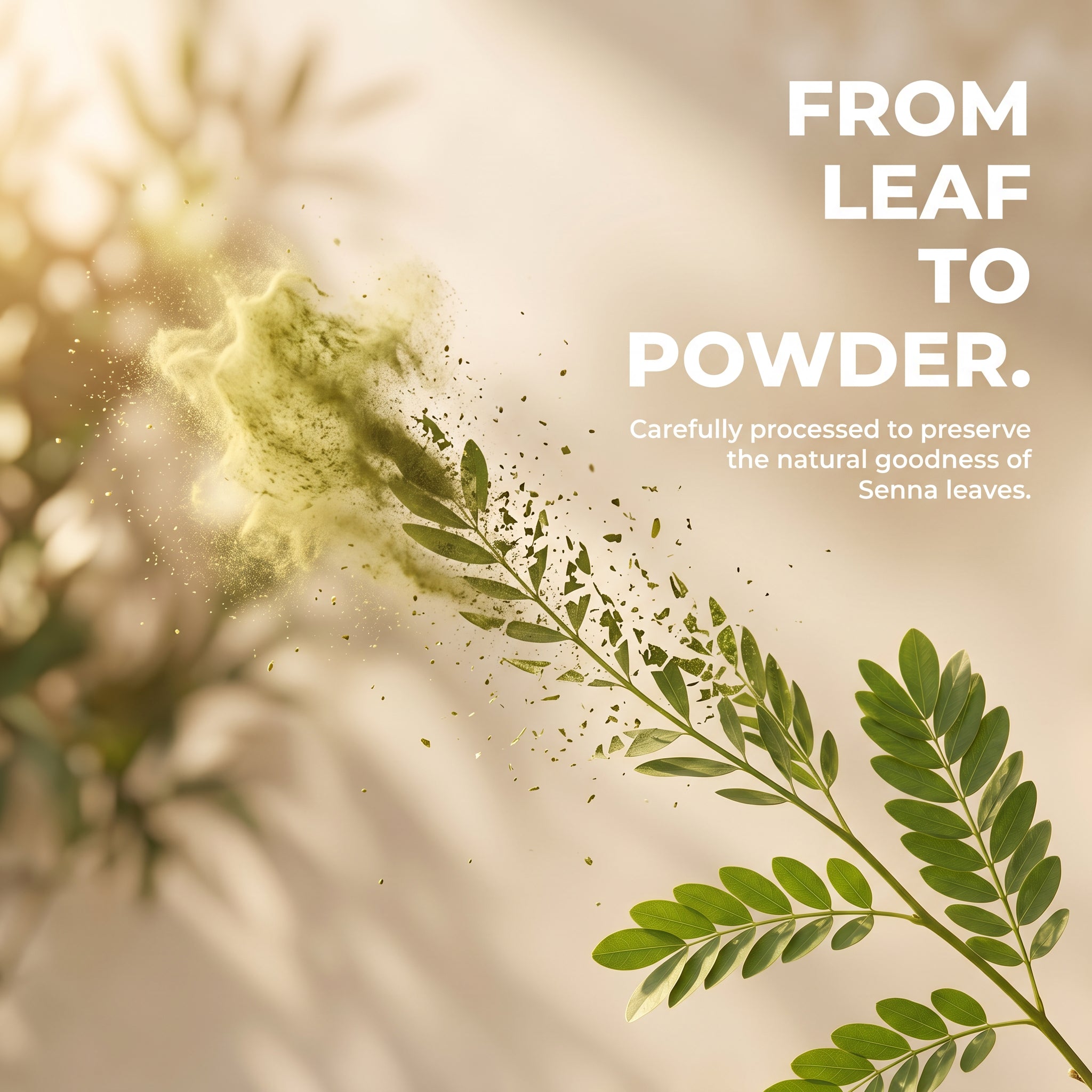 Senna Leaf Powder