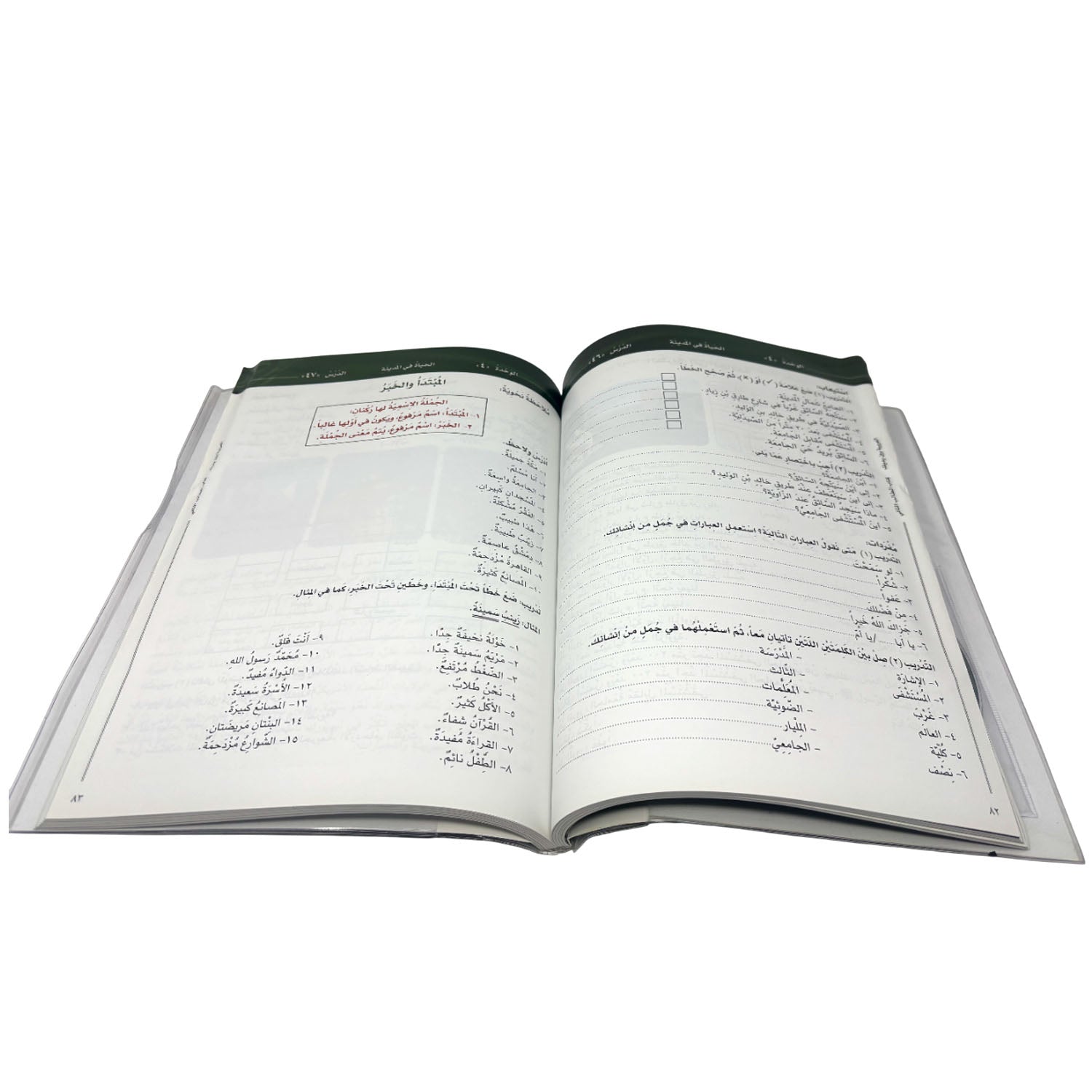 Al-Arabiyyah Bayna Yadayk Arabic Book 2