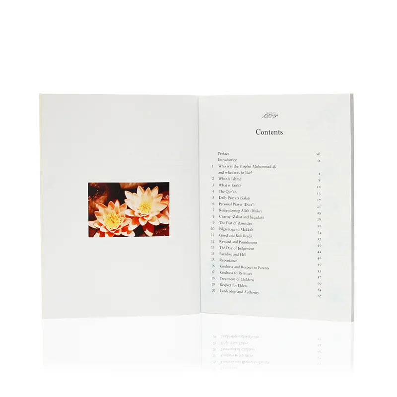 In the Prophets Garden