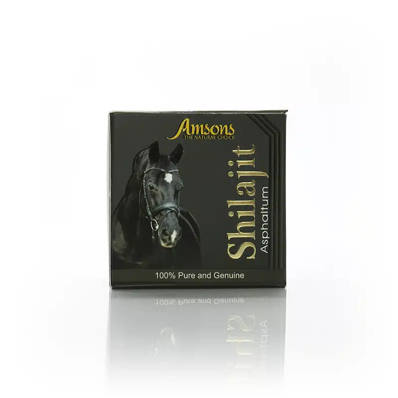Shilajit Asphaltum 30g