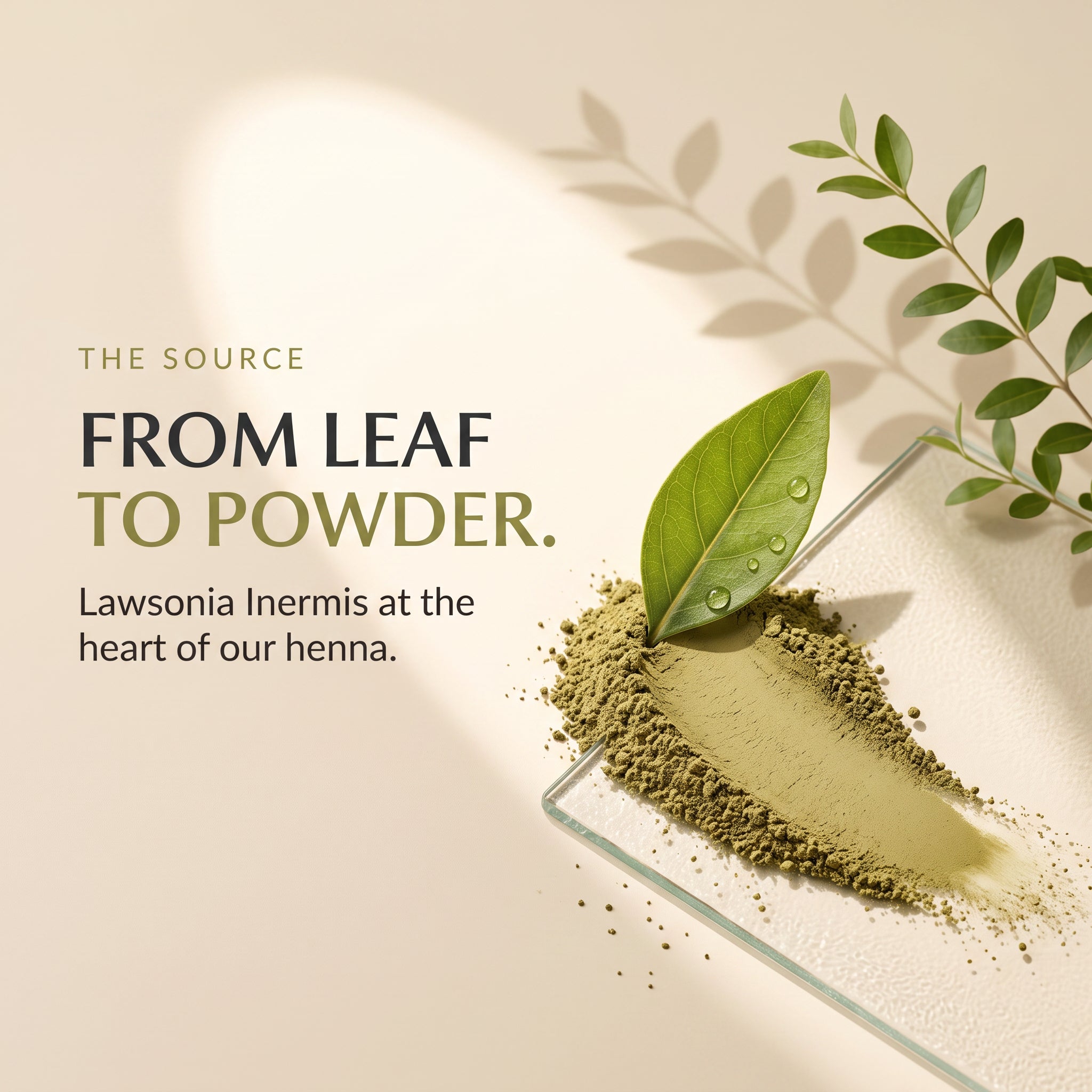 Henna Powder 100g