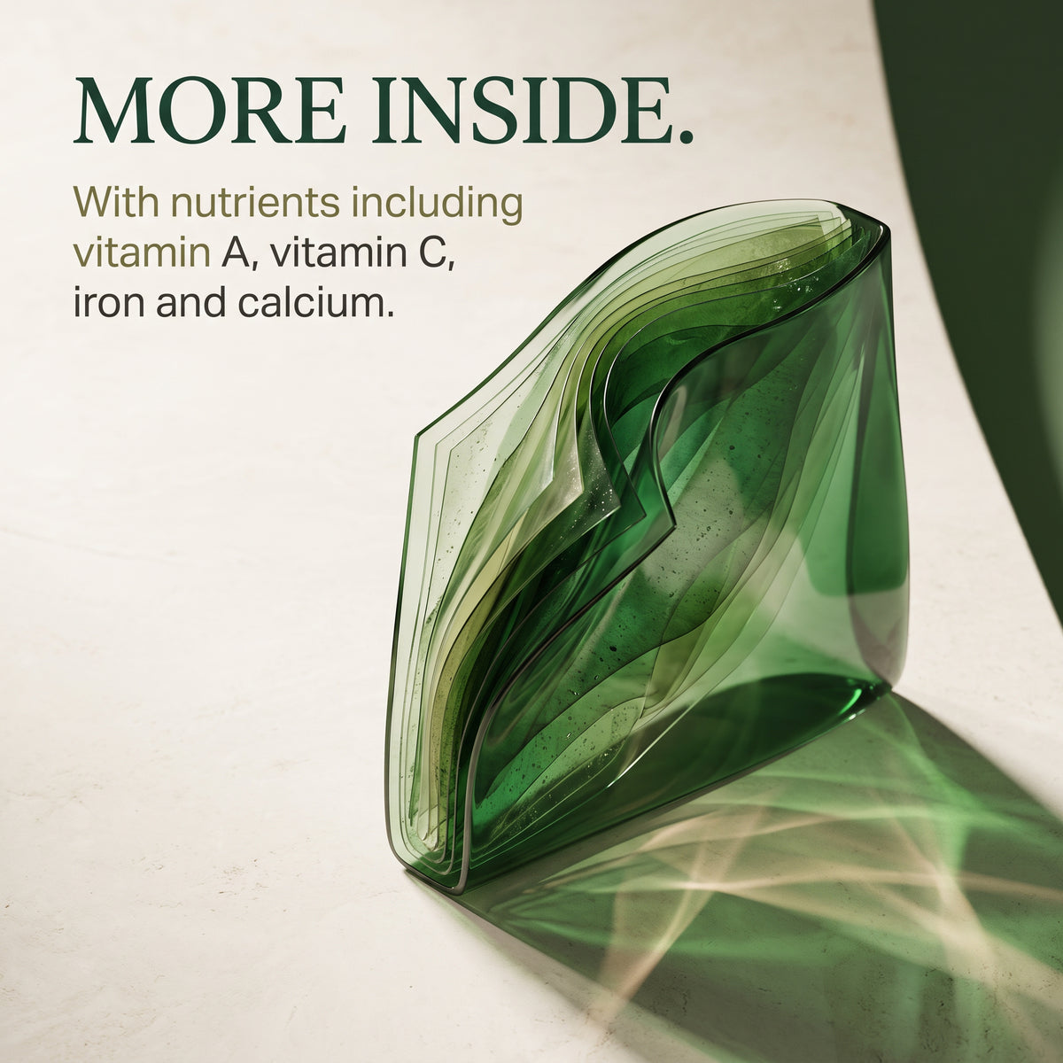 Moringa Capsules 120 Tablets