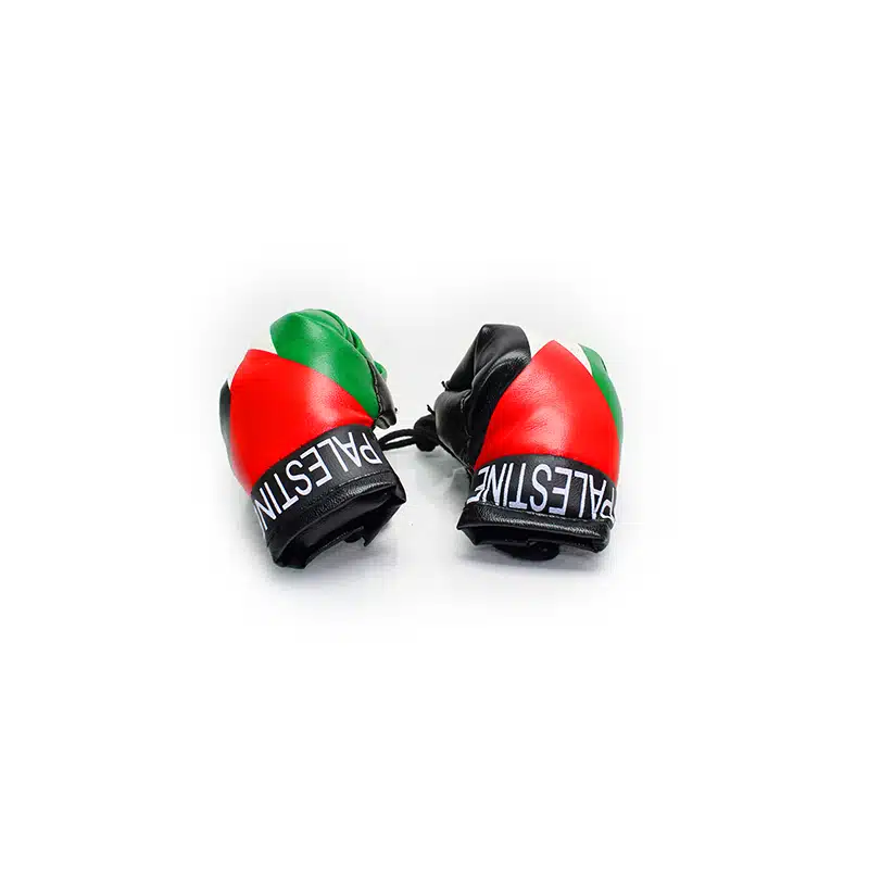 Palestine Flag Boxing Glove Car Hanger