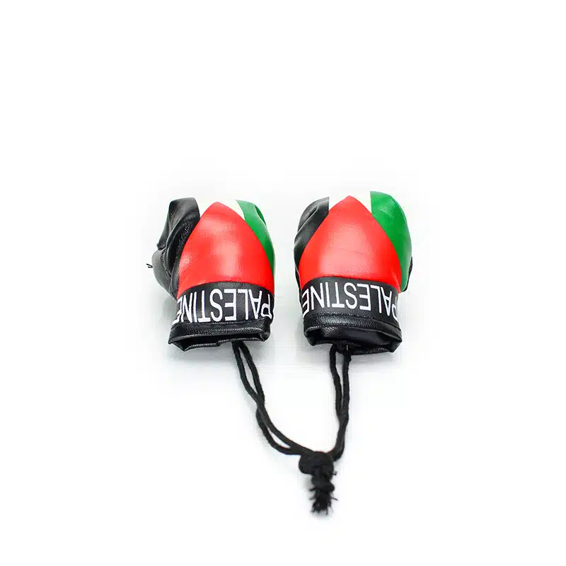Palestine Flag Boxing Glove Car Hanger
