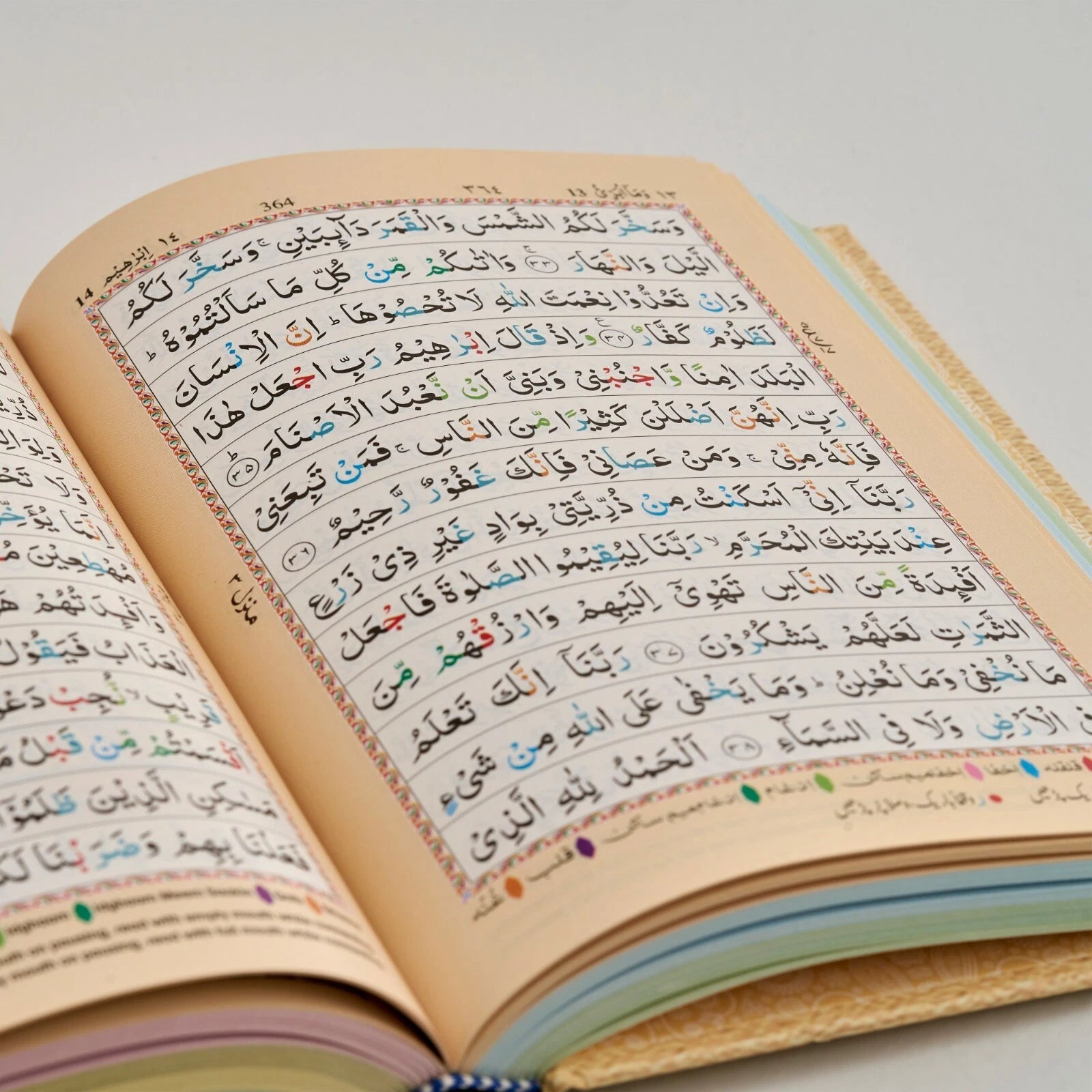 The Holy Quran: Colour Coded Tajweed Rules & Manzils (Hardback - IBS - A5)