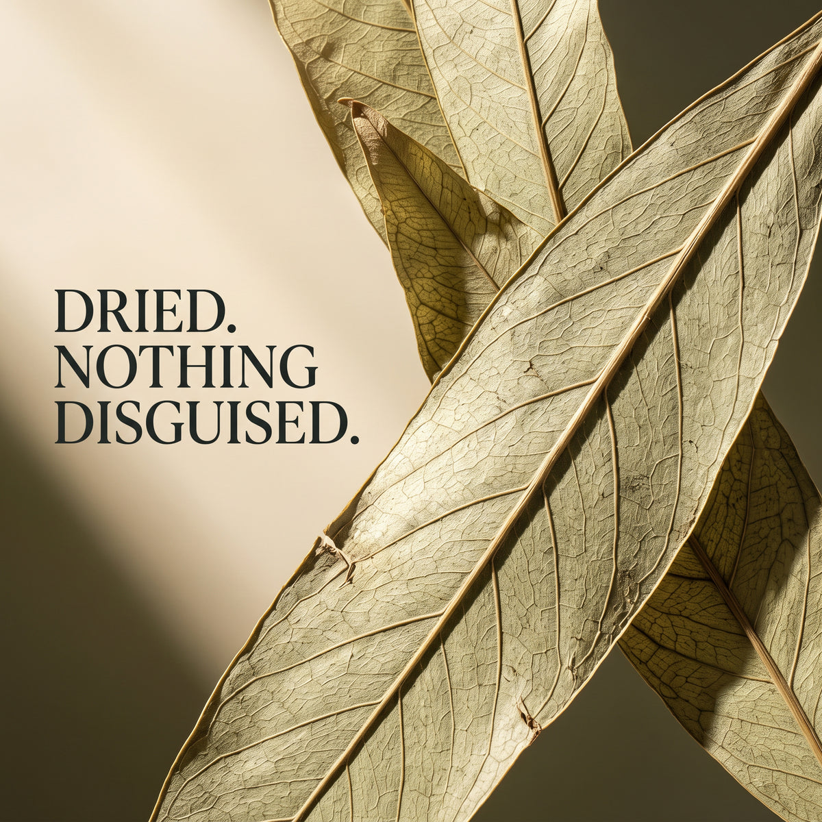 Senna Leaves - 100g