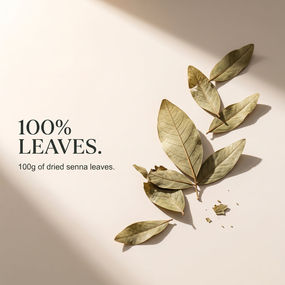 Senna Leaves - 100g