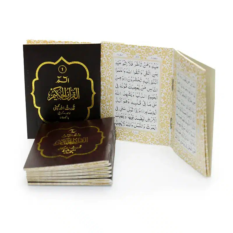 Pocket Size 30 Juzz Quran Set #95A