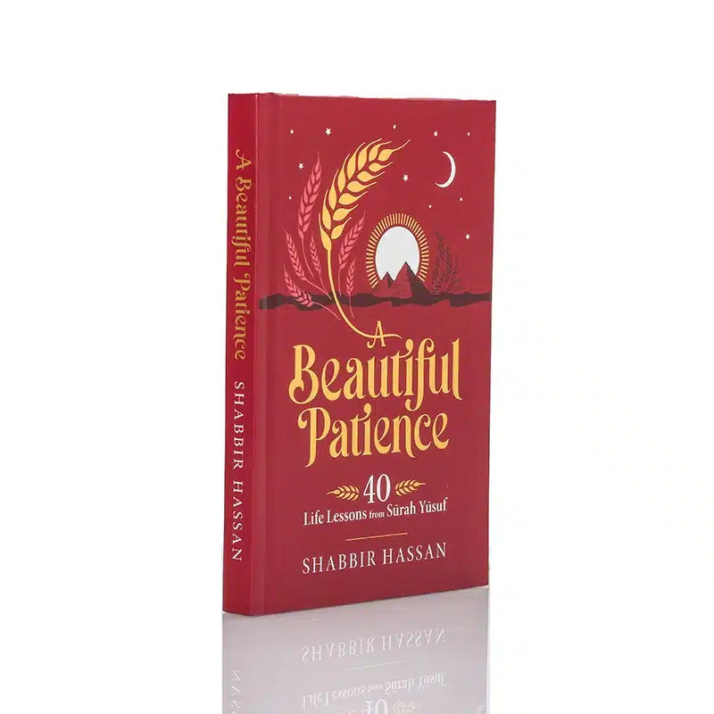 A Beautiful Patience Book