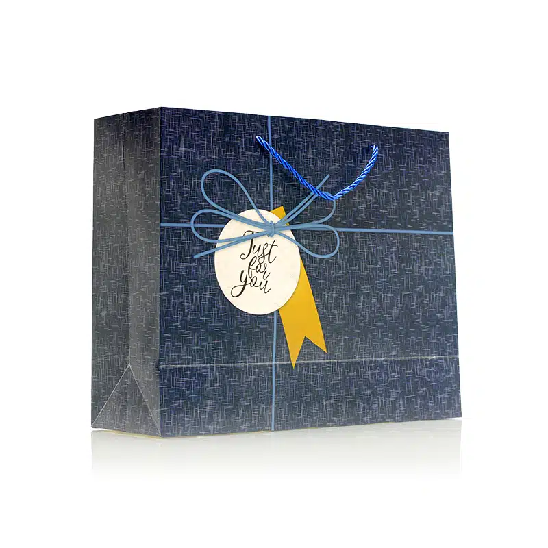 Large Navy Gift Bag