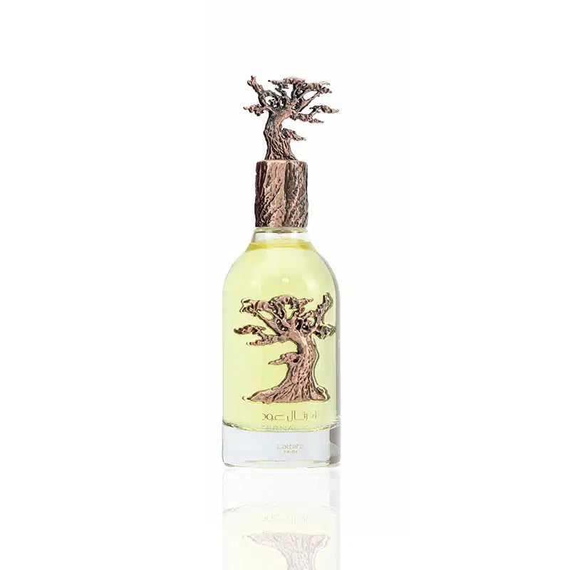Lattafa Eternal Oud Perfume for Men 100ml