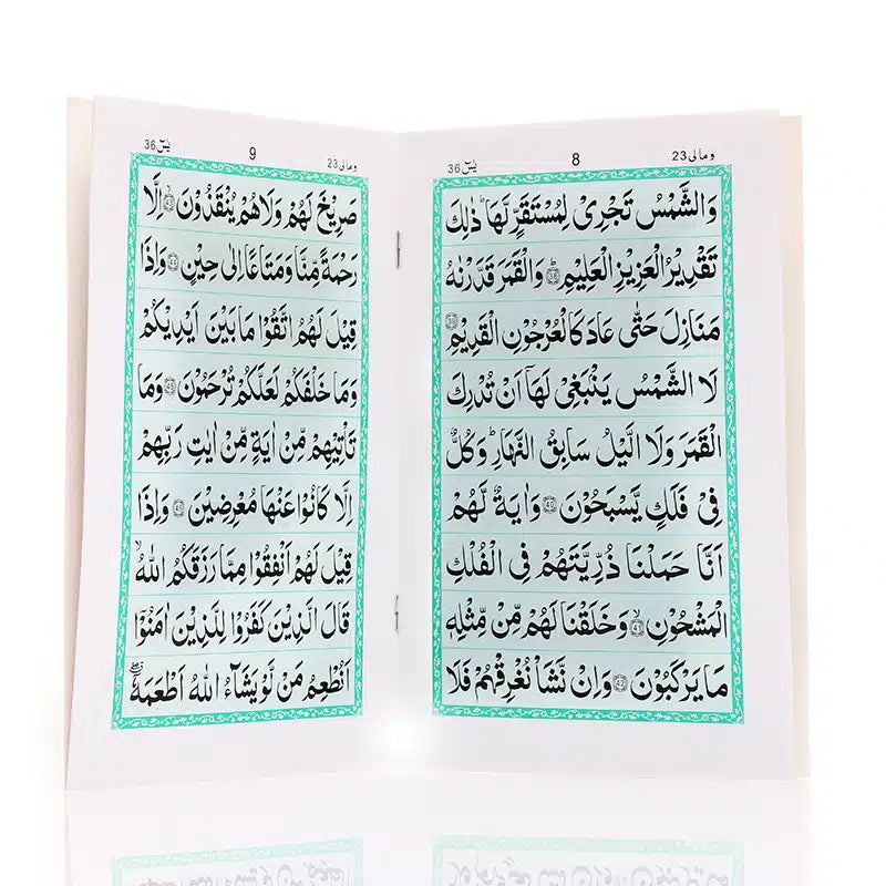 Surah Yaseen 9 Line