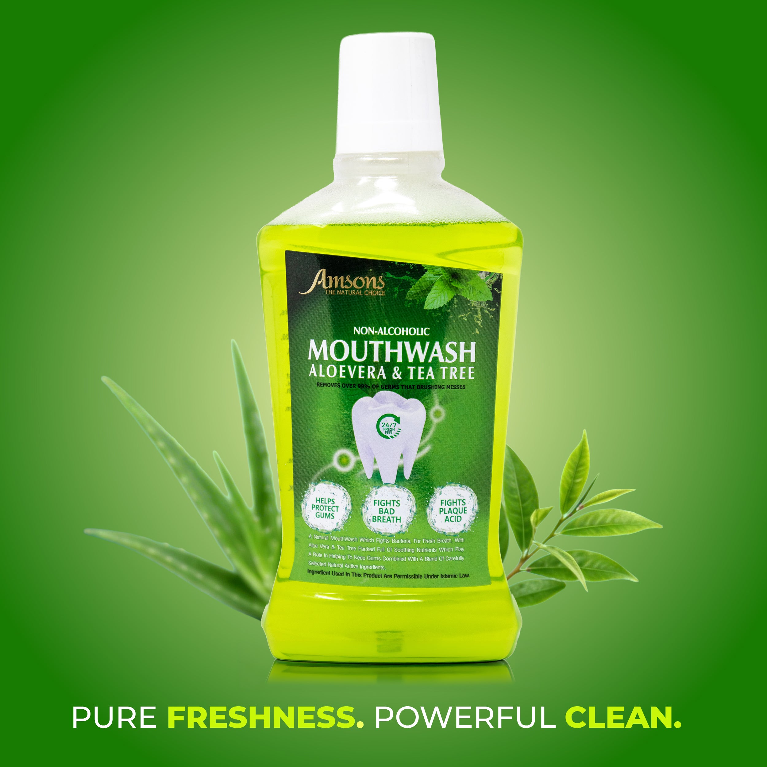 Non-Alcoholic Aloe Vera & Tea Tree Mouthwash