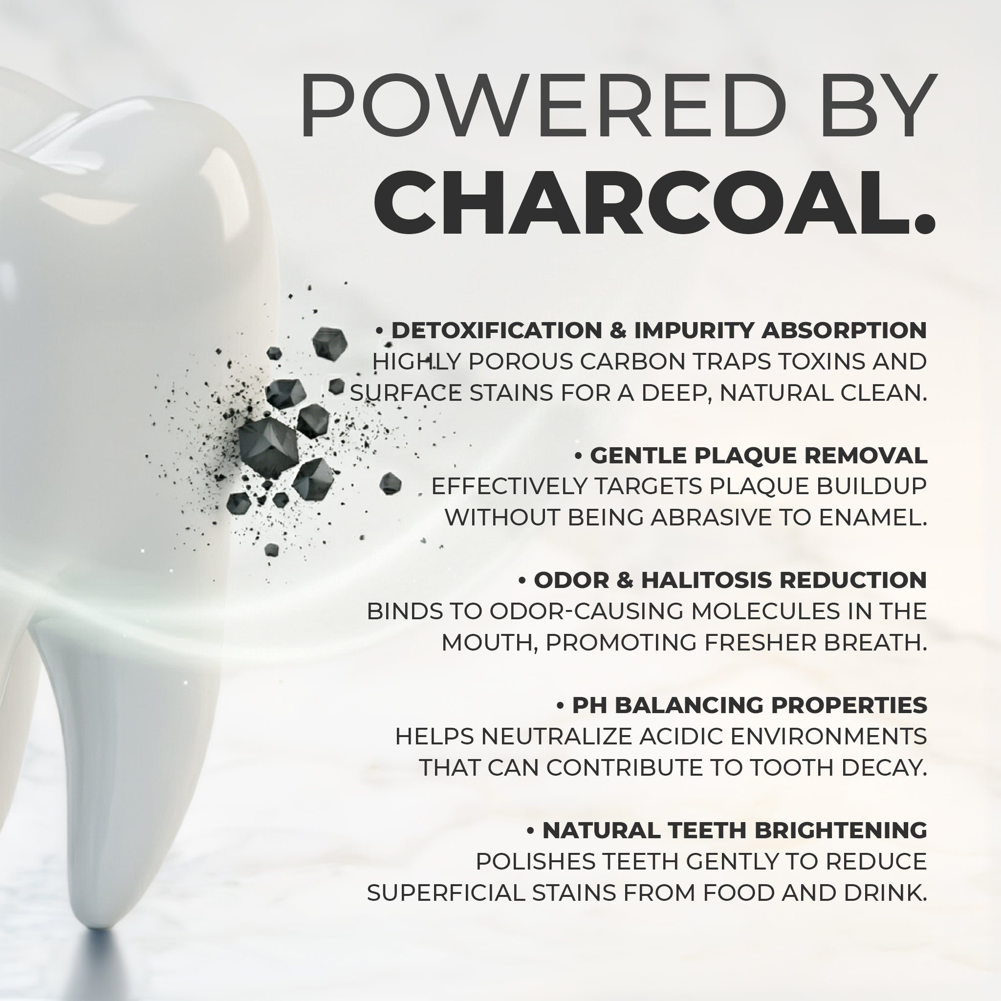 Charcoal Toothpaste 100g