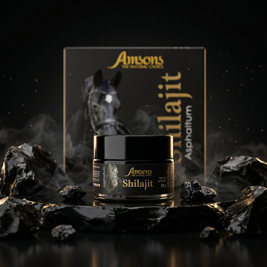 Shilajit Asphaltum 30g