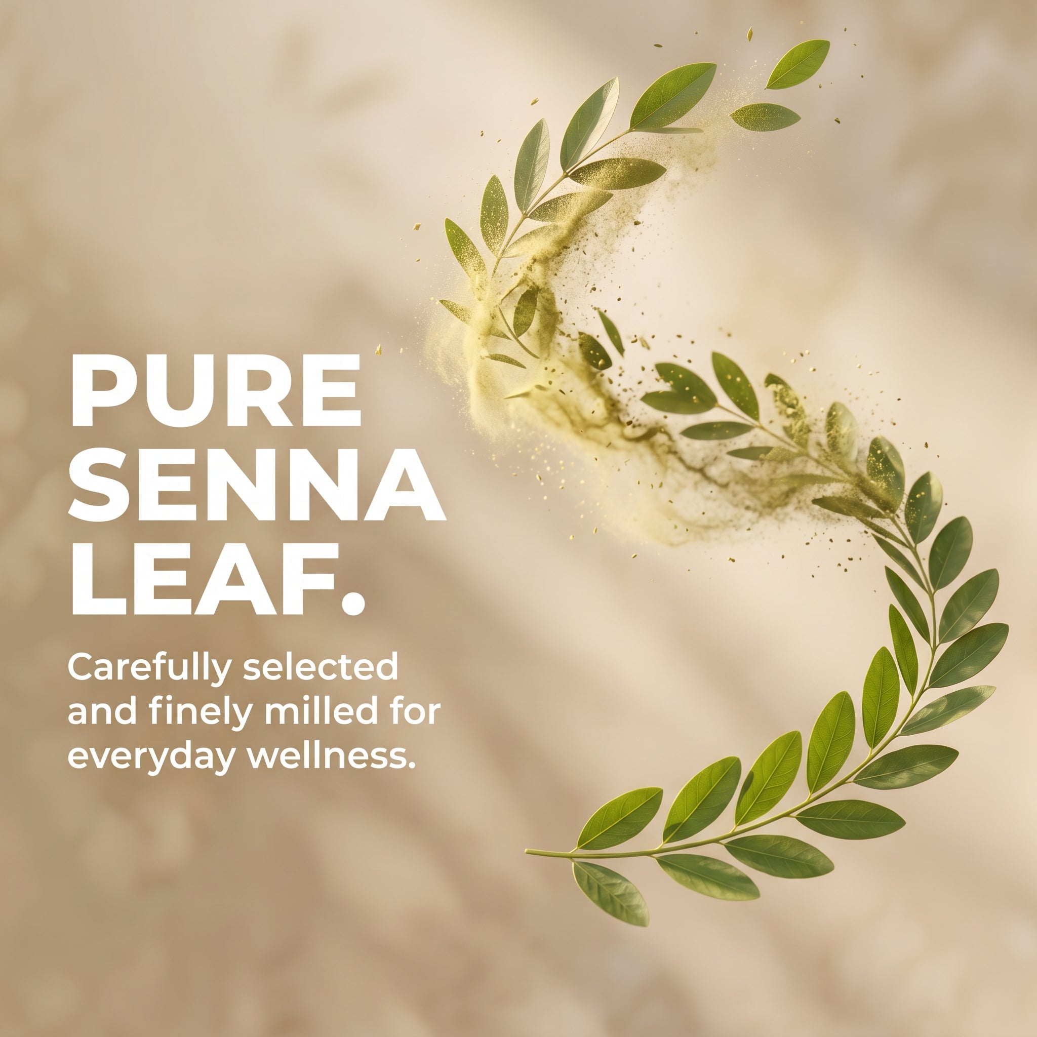 Senna Leaf Powder