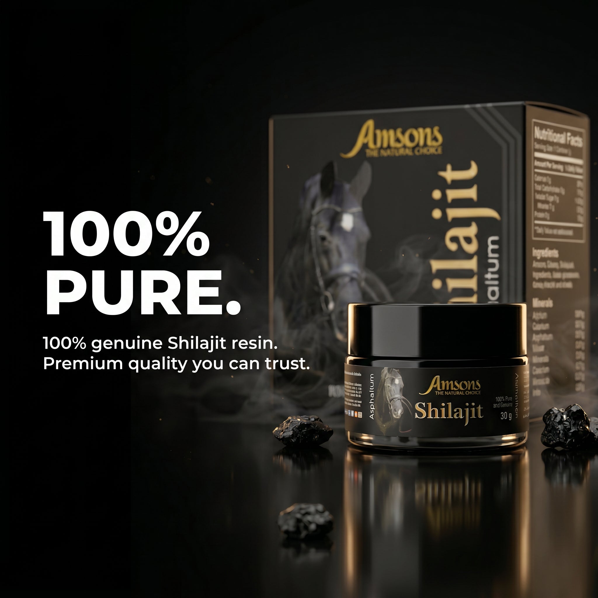 Shilajit Asphaltum 30g