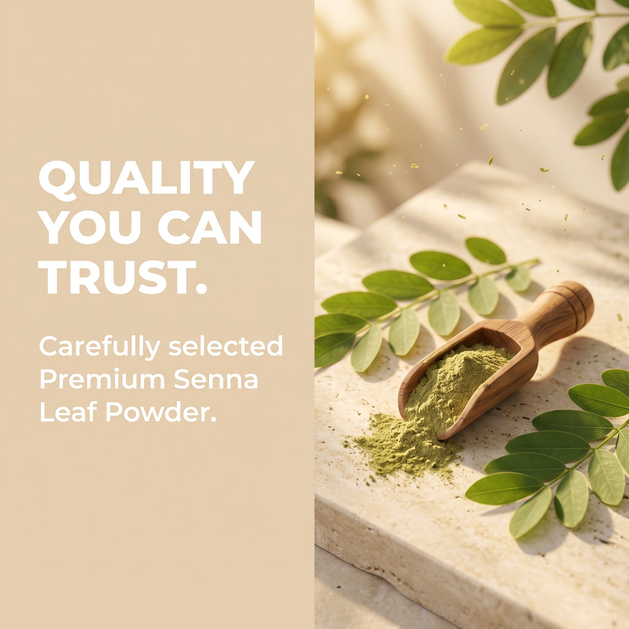 Senna Leaf Powder