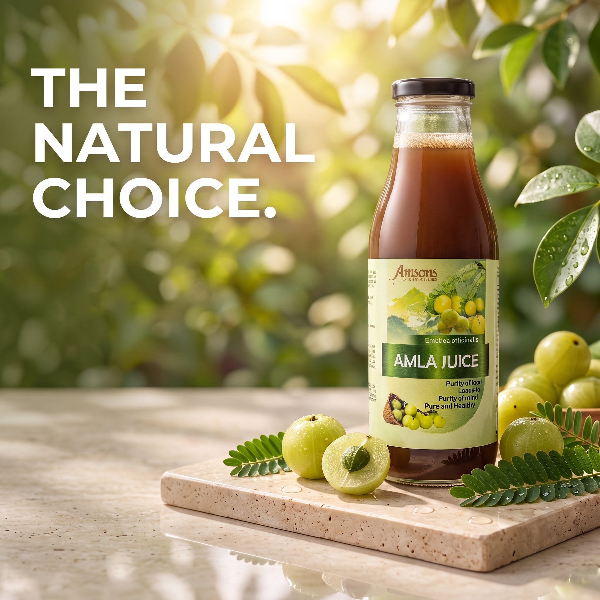 Amla Juice 500 ml