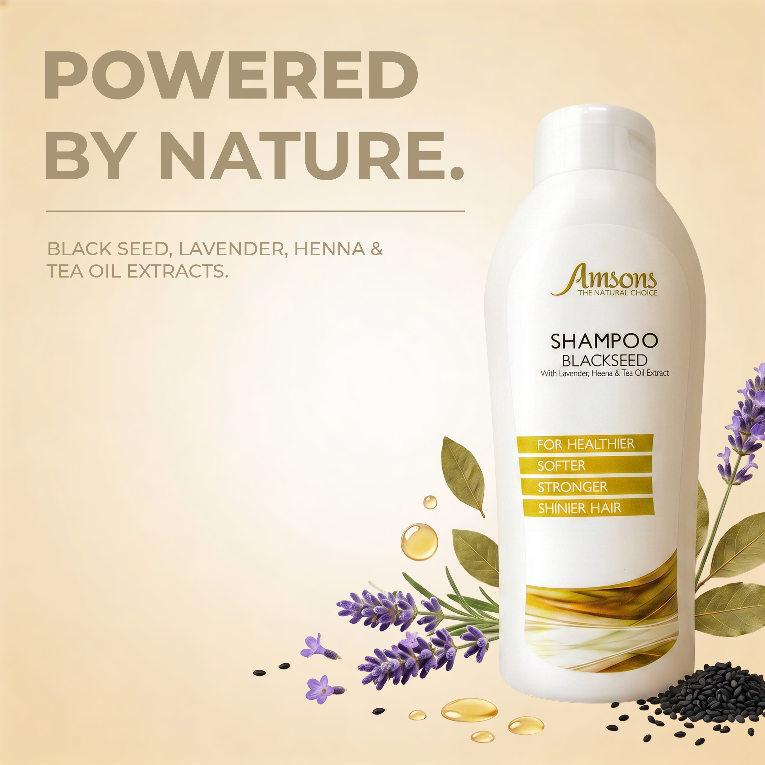 Black Seed Oil Shampoo 300ml