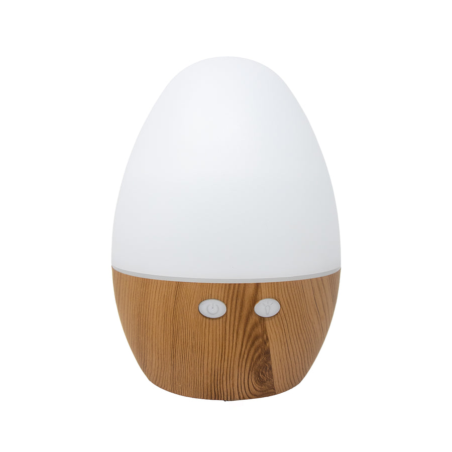 Wood Aroma Diffuser AM493