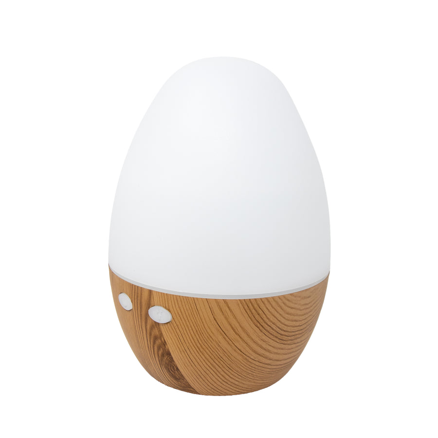 Wood Aroma Diffuser AM493