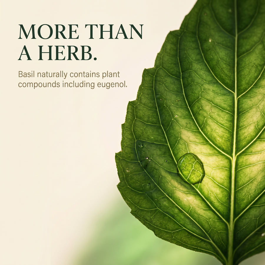 Basil Capsules 120 Tablets