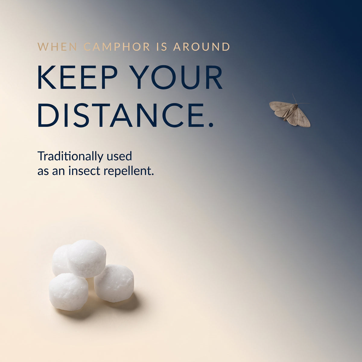 Amsons Camphor Tablets 100g