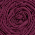 Raspberry