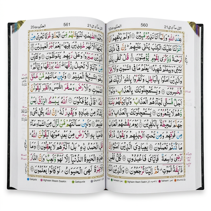 Quran 13 line Tajweed - Ref 465 - Blue