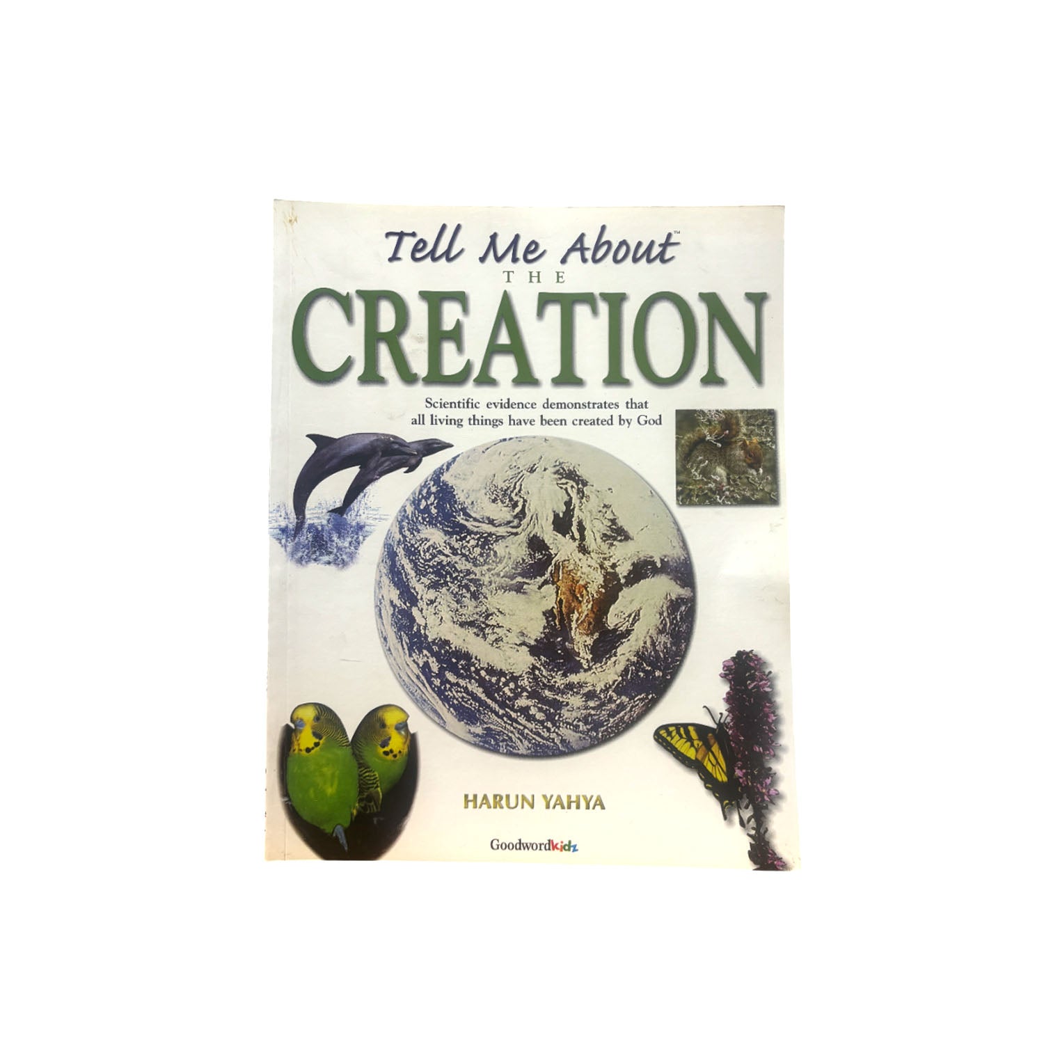 Tell Me About The Creation