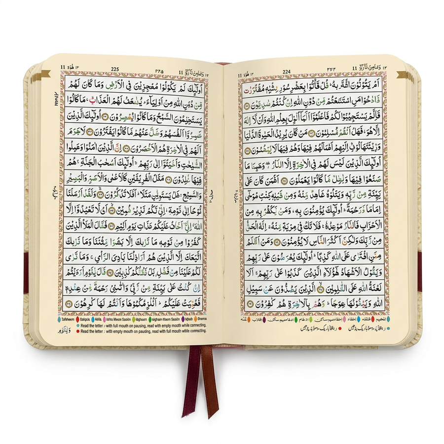 The Holy Quran Colour Coded Tajweed Rules 15 lines Indo Pak 147-CC