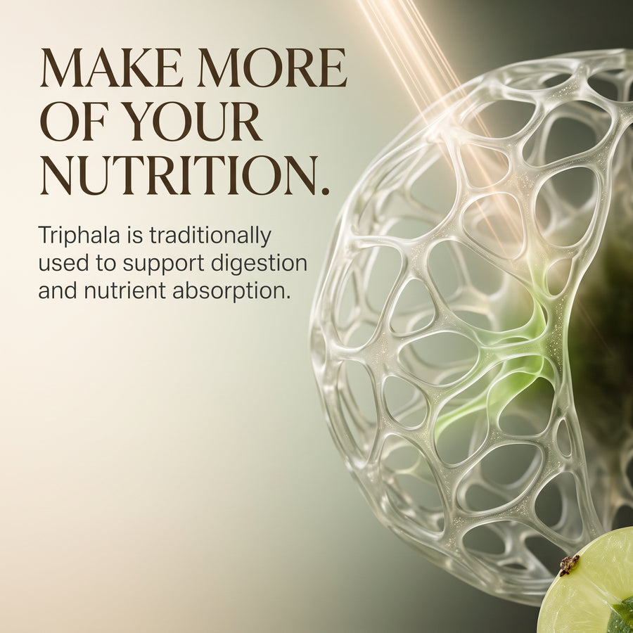 Triphala Capsules Food Supplement 120 Tablets