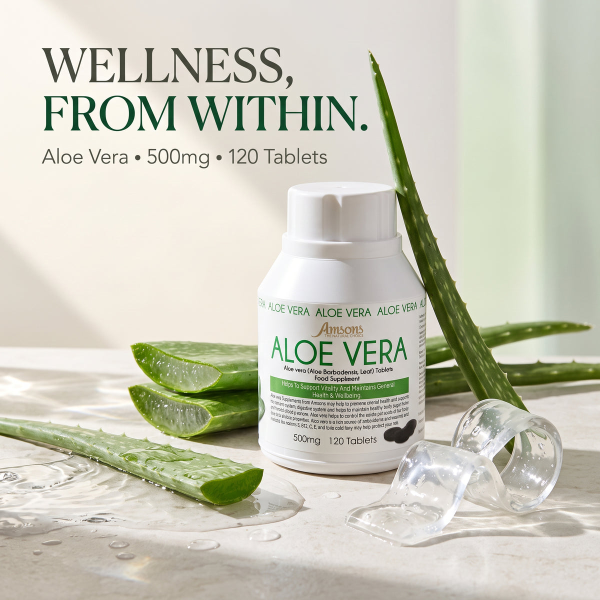 Aloe Vera Capsules 500mg - 120 Tablets