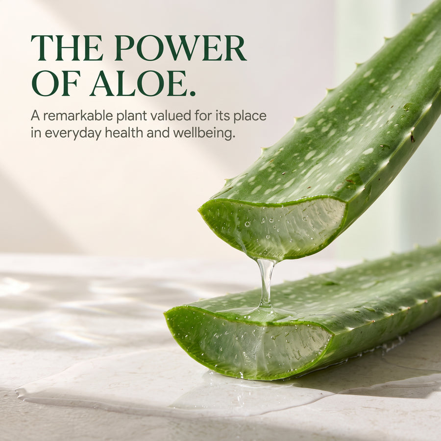 Aloe Vera Capsules 500mg - 120 Tablets