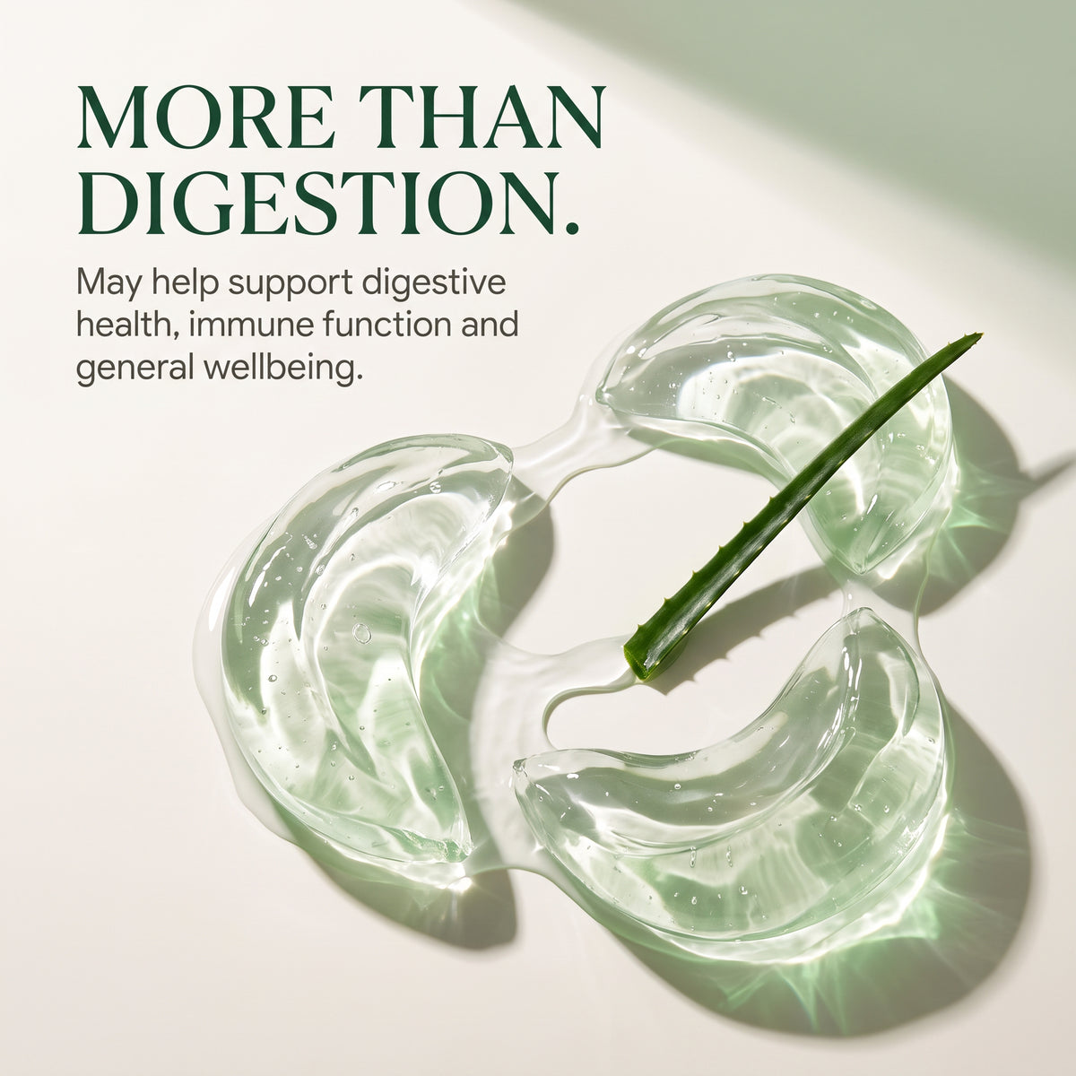 Aloe Vera Capsules 500mg - 120 Tablets