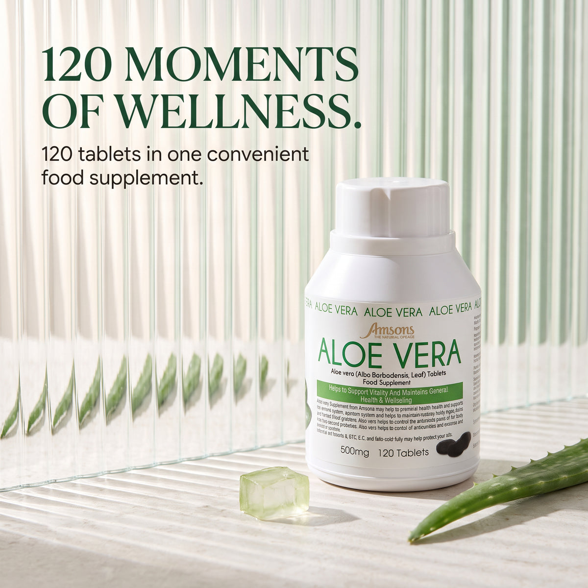 Aloe Vera Capsules 500mg - 120 Tablets