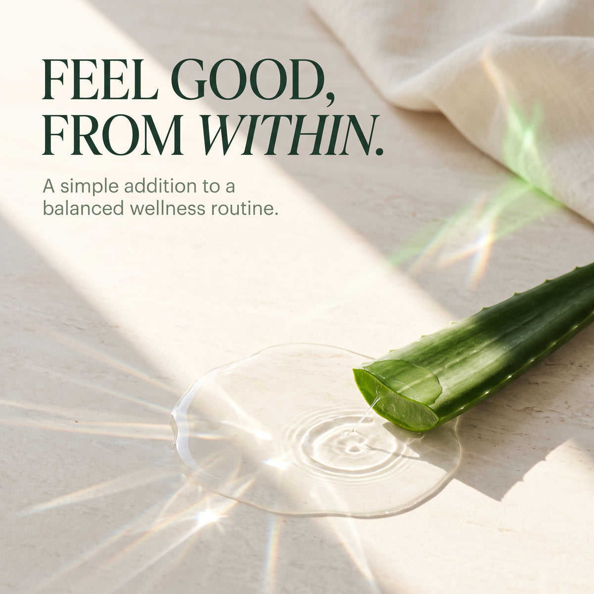 Aloe Vera Capsules 500mg - 120 Tablets