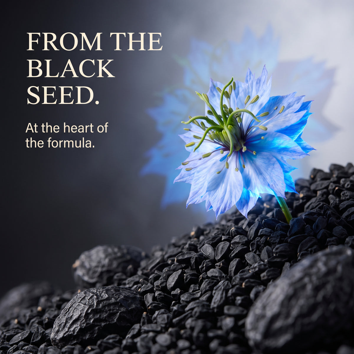 Blackseed Soap 100g