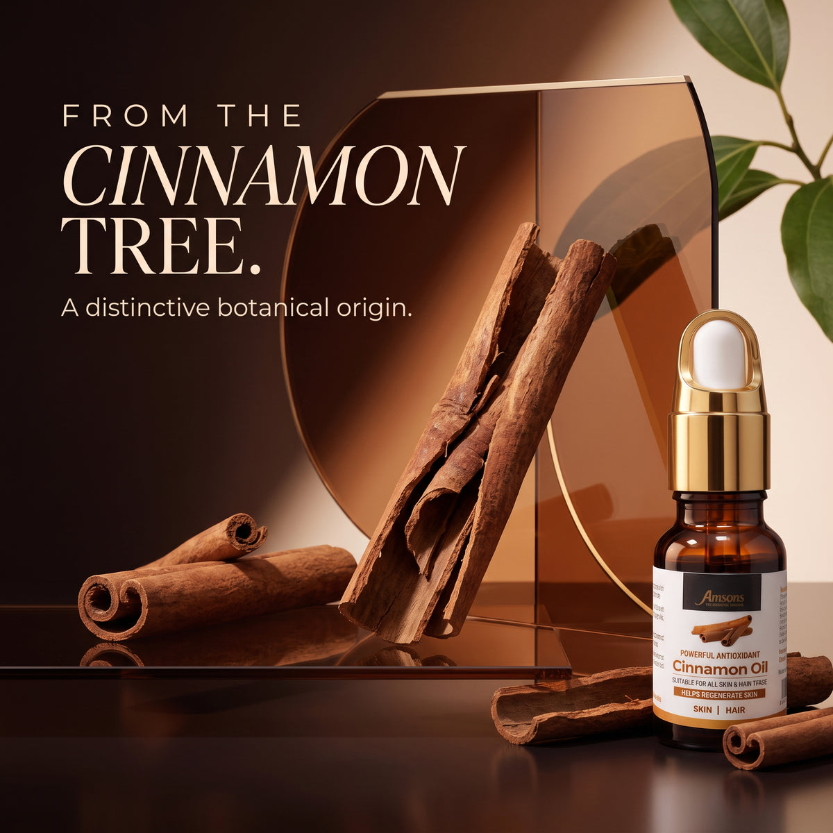 Amsons Cinnamon Oil for Skin/Hair care 15ml