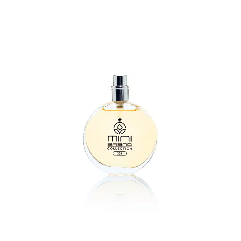 Mini Brand Collection No. 301