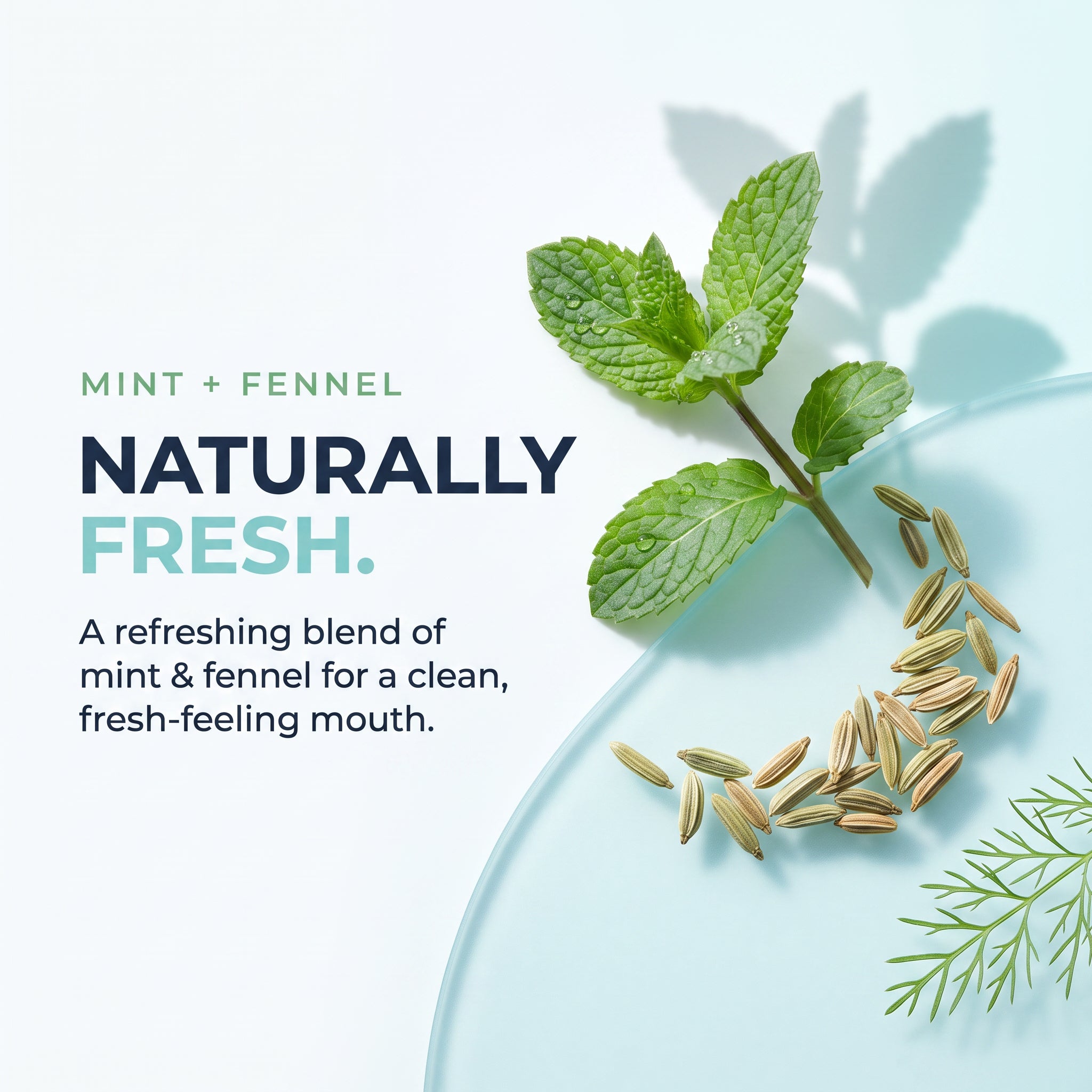Non-Alcoholic Mint & Fennel Mouthwash