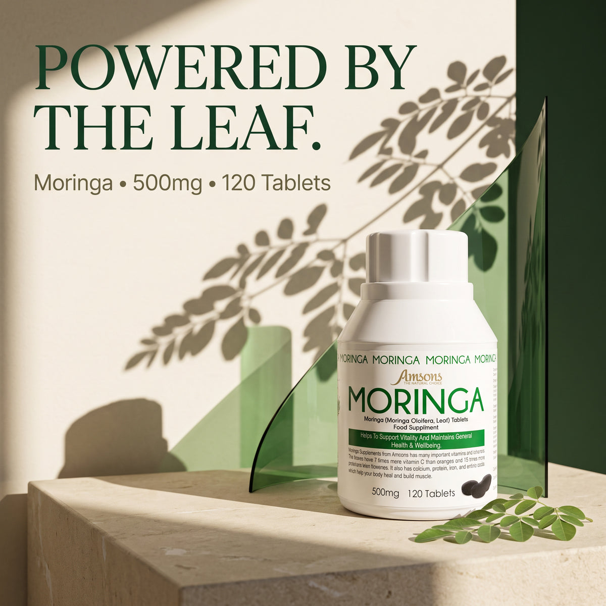 Moringa Capsules 120 Tablets